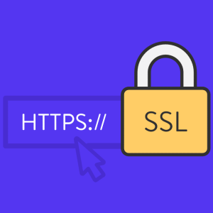 چگونه برای سایت وردپرسی خود گواهی SSL رایگان بگیریم؟