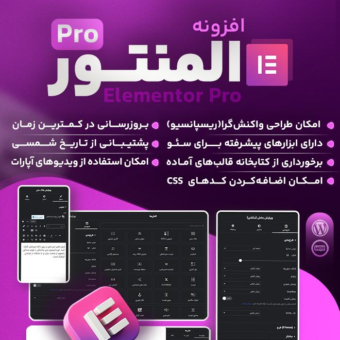 پلاگین Elementor Pro