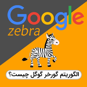 الگوریتم گورخر (Zebra) و تجربه کاربری ناب در فروشگاه های آنلاین