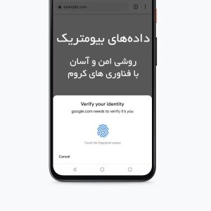 Secure and simple access to authentication on the web with biometric data