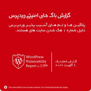 WordPress Vulnerability Report