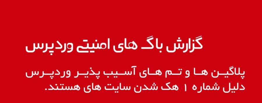 WordPress Vulnerability Report