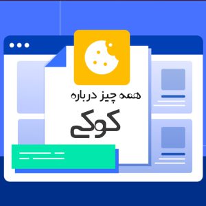 All about browser cookies
