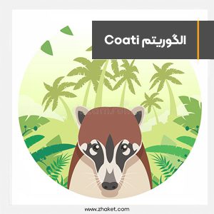 Panda algorithm was replaced with an updated algorithm called Coati