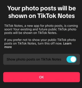 برخی کاربران قبلاً از توسعه TikTok Notes خبر داشتند