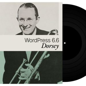 WordPress 6.6 has been released, now you can rollback your plugins