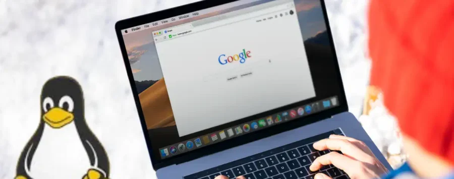 Running Linux codes on Android with native AVF terminal development