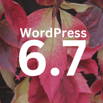 how to solve the translation problems in WordPress 6.7 main picture